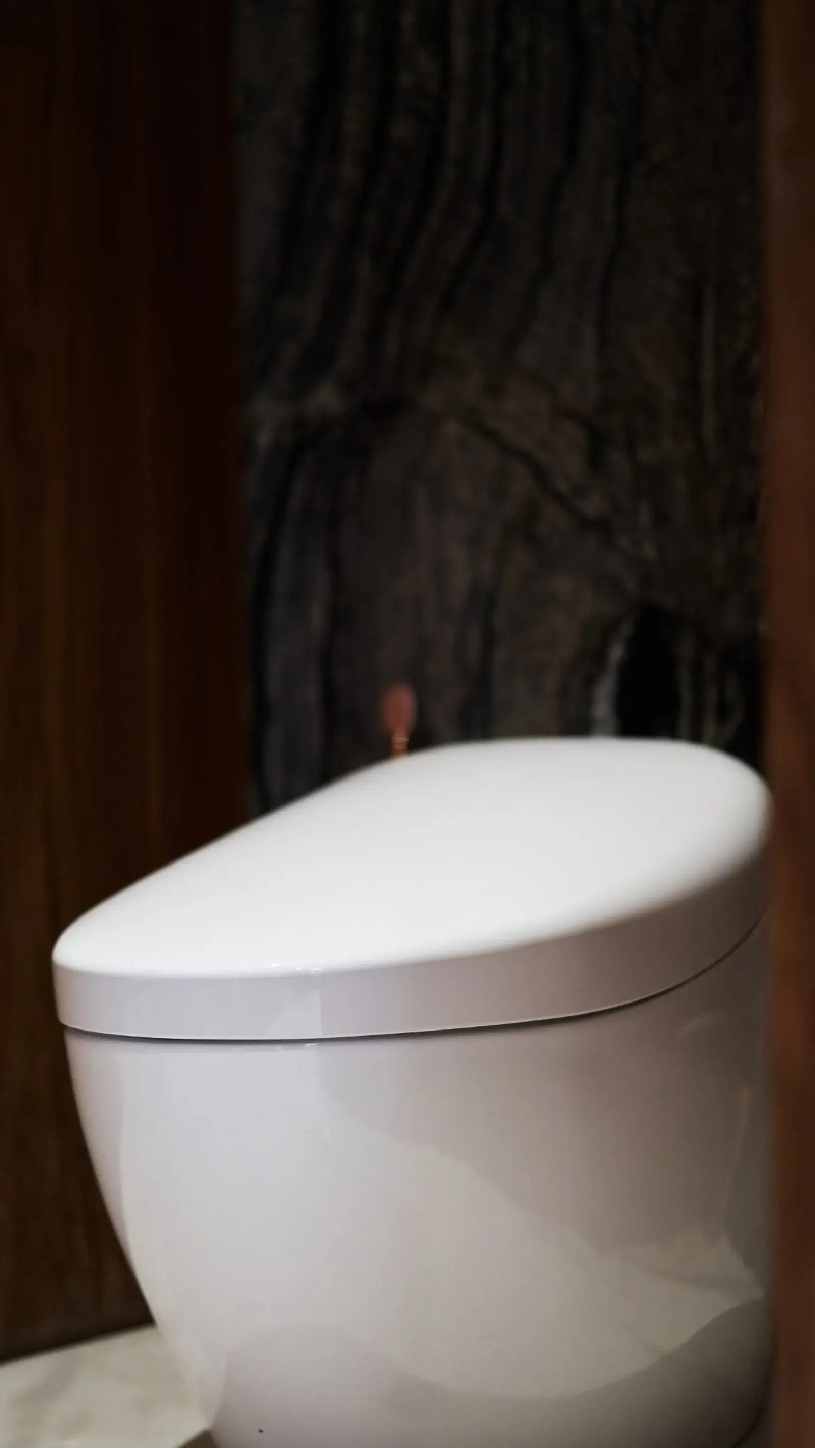 WC TOTO Neorest devant le marbre Silver Wave en livre ouvert